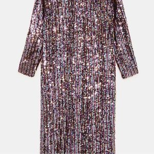 NWT Zara Sequin dress SZ L in Women